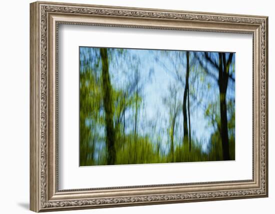 Trees with foliage, blurred, against the sky-Axel Killian-Framed Photographic Print