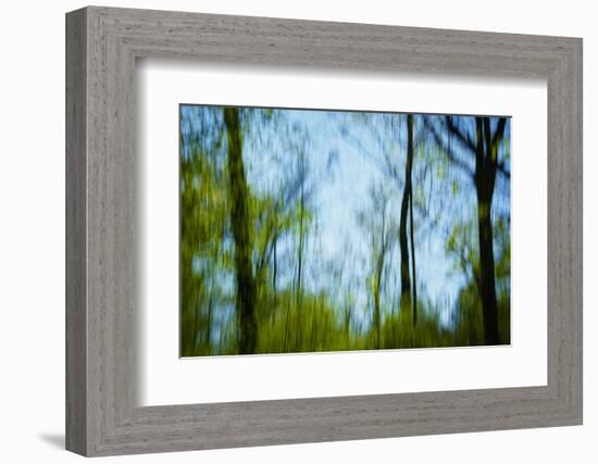 Trees with foliage, blurred, against the sky-Axel Killian-Framed Photographic Print