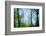 Trees with foliage, blurred, against the sky-Axel Killian-Framed Photographic Print