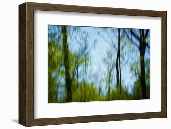 Trees with foliage, blurred, against the sky-Axel Killian-Framed Photographic Print