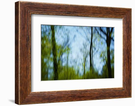 Trees with foliage, blurred, against the sky-Axel Killian-Framed Photographic Print