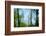 Trees with foliage, blurred, against the sky-Axel Killian-Framed Photographic Print