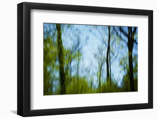 Trees with foliage, blurred, against the sky-Axel Killian-Framed Photographic Print