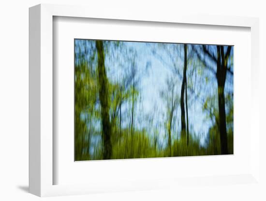 Trees with foliage, blurred, against the sky-Axel Killian-Framed Photographic Print