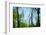Trees with foliage, blurred, against the sky-Axel Killian-Framed Photographic Print