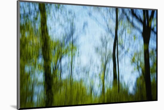 Trees with foliage, blurred, against the sky-Axel Killian-Mounted Photographic Print