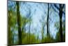 Trees with foliage, blurred, against the sky-Axel Killian-Mounted Photographic Print