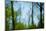 Trees with foliage, blurred, against the sky-Axel Killian-Mounted Photographic Print