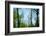 Trees with foliage, blurred, against the sky-Axel Killian-Framed Photographic Print