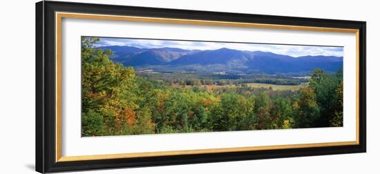 Trees with Mountain Range in the Background, Cades Cove, Great Smoky Mountains National Park-null-Framed Photographic Print