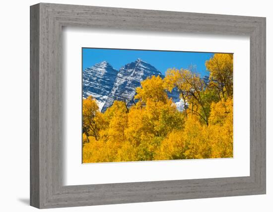 Trees with Mountain Range in the Background, Maroon Creek Valley, Aspen-null-Framed Photographic Print