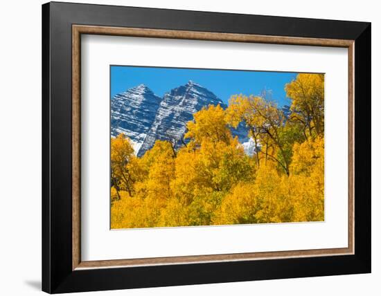 Trees with Mountain Range in the Background, Maroon Creek Valley, Aspen-null-Framed Photographic Print