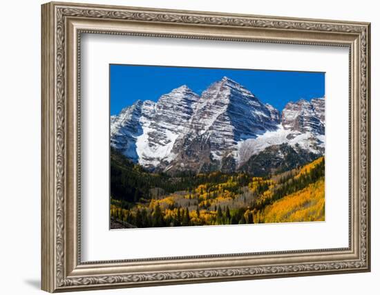 Trees with Mountain Range in the Background, Maroon Creek Valley, Aspen-null-Framed Photographic Print