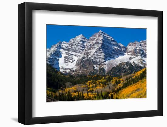 Trees with Mountain Range in the Background, Maroon Creek Valley, Aspen-null-Framed Photographic Print