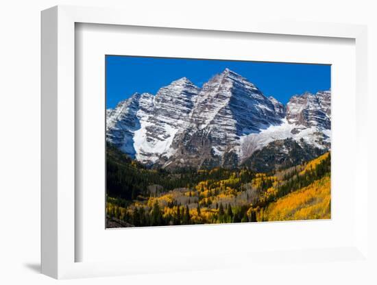 Trees with Mountain Range in the Background, Maroon Creek Valley, Aspen-null-Framed Photographic Print