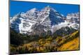 Photographic Print