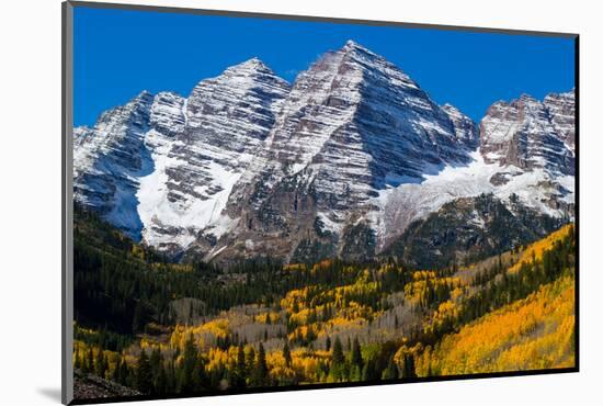 Trees with Mountain Range in the Background, Maroon Creek Valley, Aspen-null-Mounted Photographic Print