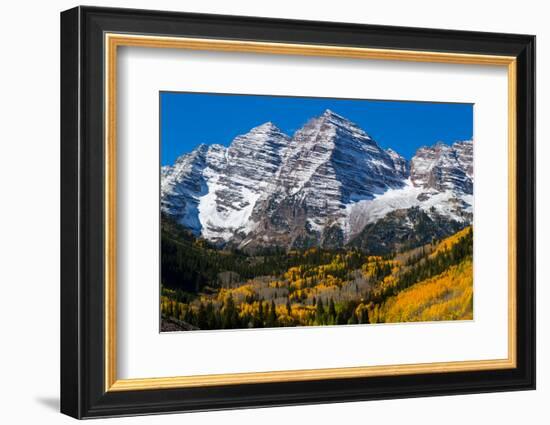 Trees with Mountain Range in the Background, Maroon Creek Valley, Aspen-null-Framed Photographic Print