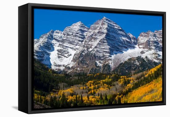 Trees with Mountain Range in the Background, Maroon Creek Valley, Aspen-null-Framed Premier Image Canvas