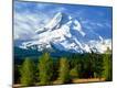 Premium Photographic Print