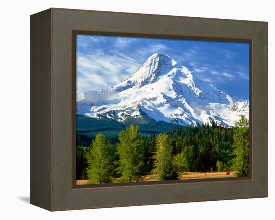 Trees with snowcapped mountain range in the background, Mt Hood, Upper Hood River Valley, Hood R...-null-Framed Premier Image Canvas