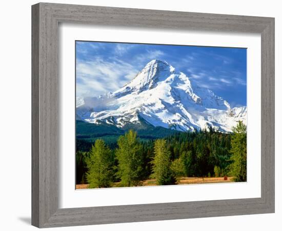 Trees with snowcapped mountain range in the background, Mt Hood, Upper Hood River Valley, Hood R...-null-Framed Photographic Print