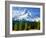 Trees with snowcapped mountain range in the background, Mt Hood, Upper Hood River Valley, Hood R...-null-Framed Photographic Print