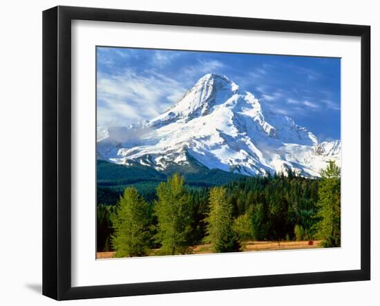 Trees with snowcapped mountain range in the background, Mt Hood, Upper Hood River Valley, Hood R...-null-Framed Photographic Print