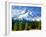 Trees with snowcapped mountain range in the background, Mt Hood, Upper Hood River Valley, Hood R...-null-Framed Photographic Print