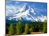 Trees with snowcapped mountain range in the background, Mt Hood, Upper Hood River Valley, Hood R...-null-Mounted Photographic Print