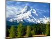 Photographic Print