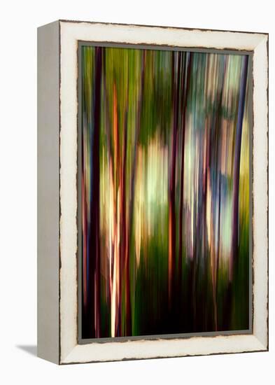 Trees-Ursula Abresch-Framed Premier Image Canvas