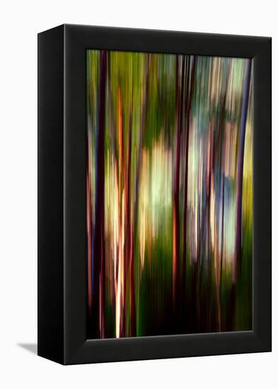 Trees-Ursula Abresch-Framed Premier Image Canvas