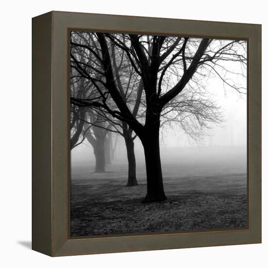 Trees-null-Framed Premier Image Canvas