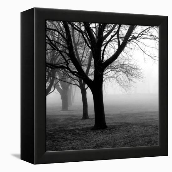 Trees-null-Framed Premier Image Canvas