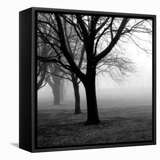 Trees-null-Framed Premier Image Canvas