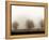 Trees-Monika Brand-Framed Premier Image Canvas