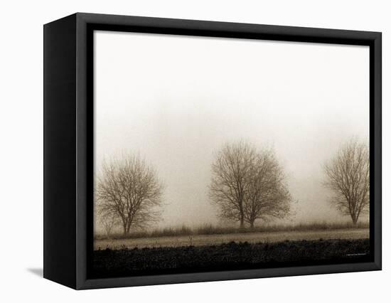 Trees-Monika Brand-Framed Premier Image Canvas