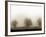 Trees-Monika Brand-Framed Photographic Print