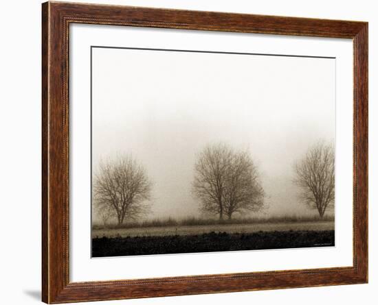 Trees-Monika Brand-Framed Photographic Print