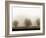 Trees-Monika Brand-Framed Photographic Print