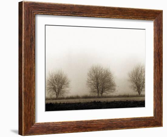 Trees-Monika Brand-Framed Photographic Print