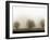 Trees-Monika Brand-Framed Photographic Print