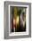 Trees-Ursula Abresch-Framed Photographic Print