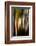 Trees-Ursula Abresch-Framed Photographic Print