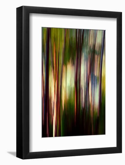 Trees-Ursula Abresch-Framed Photographic Print