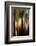 Trees-Ursula Abresch-Framed Photographic Print