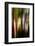 Trees-Ursula Abresch-Framed Photographic Print