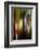 Trees-Ursula Abresch-Framed Photographic Print