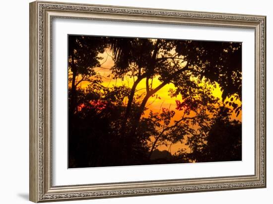 Trees-Mark Ashkenazi-Framed Giclee Print